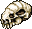 Bone Worm