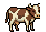 Dairy Cow