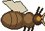Borer Queen
