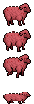 Flesh Ewe