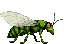 The Swarm Mother