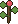 Fieldberry Cutting