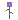 Desert Bloom