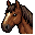 Draft Horse