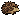 Hedgehog