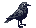 Field Crow