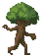 Ancient Ent