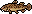 Ditch Loach