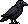 Roost Crow