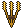Golden Wheat
