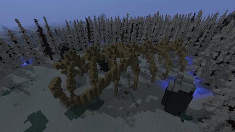 Ancient bones