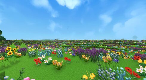 Meadow