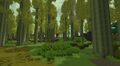 Thumbnail for version as of 23:51, 21 October 2026