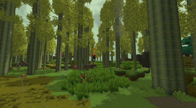 File:BetterBiomes Bamboo Grove.jpg