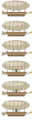 Thumbnail for version as of 09:08, 19 October 2026
