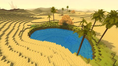Oasis