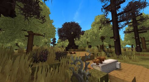 Dead Forest